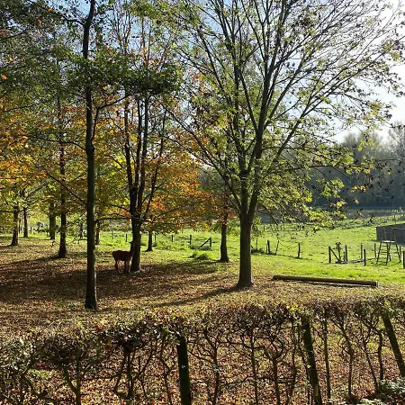 Limburg Lux 90 *